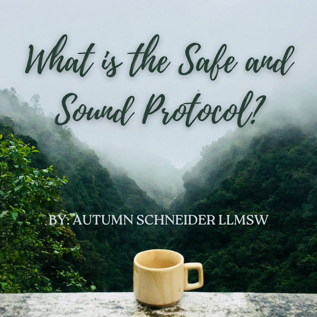 What is Safe and Sound Protocol?